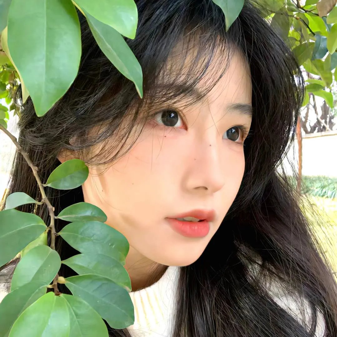 见习女探